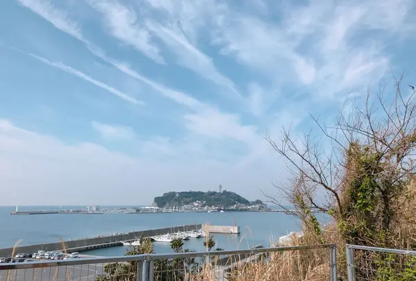 小動神社の写真・動画_image_186672