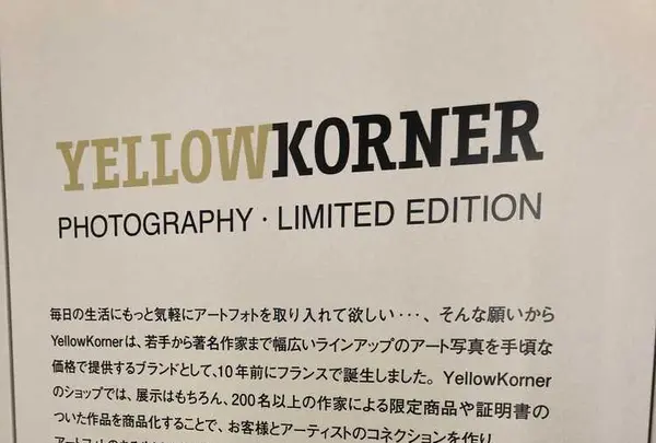 YELLOWKORNERの写真・動画_image_186929