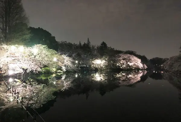 井の頭恩賜公園の写真・動画_image_186958