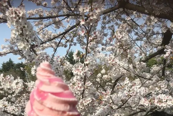 井の頭恩賜公園の写真・動画_image_186973
