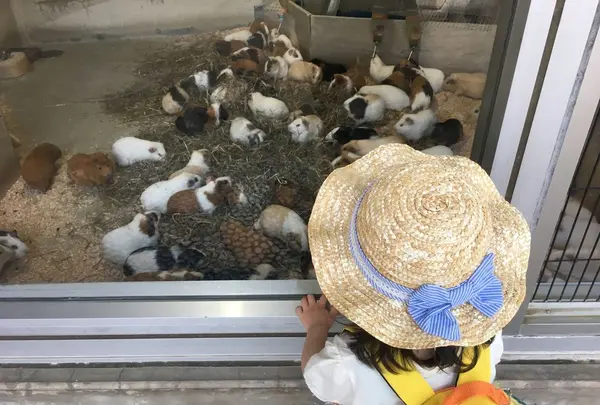井の頭自然文化園の写真・動画_image_186976