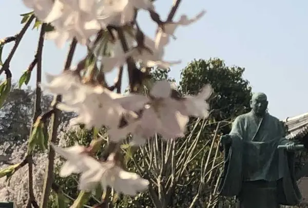 埼玉狭山市広瀬神社の写真・動画_image_186996
