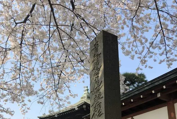 埼玉狭山市広瀬神社の写真・動画_image_186997