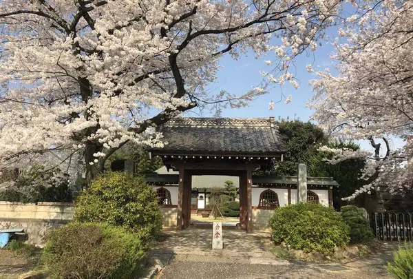 埼玉狭山市広瀬神社の写真・動画_image_186999