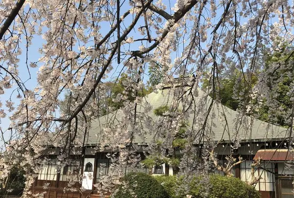 埼玉狭山市広瀬神社の写真・動画_image_187001