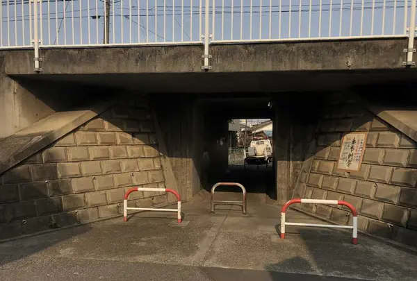 水富幼稚園の写真・動画_image_187005