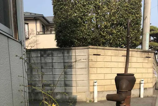 水富幼稚園の写真・動画_image_187007