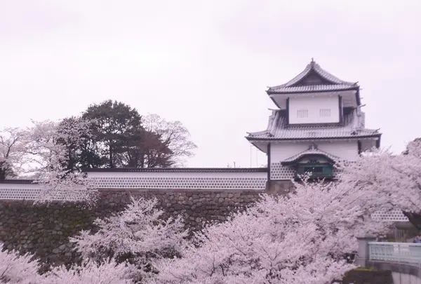 金沢城公園の写真・動画_image_187106