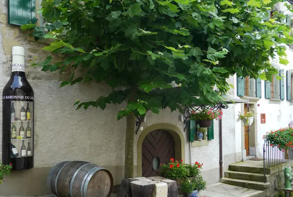 Lavauxの写真・動画_image_187138