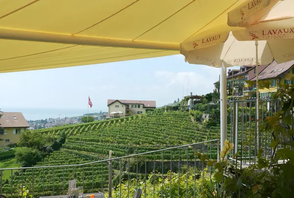 Lavauxの写真・動画_image_187139