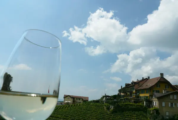 Lavauxの写真・動画_image_187140