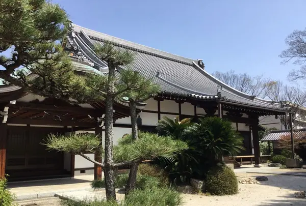 太清寺の写真・動画_image_187183