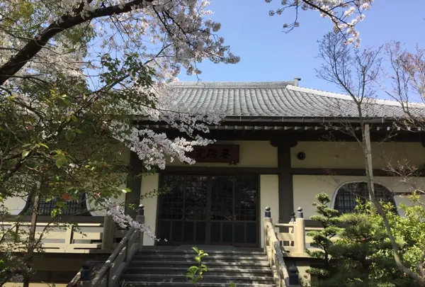 太清寺の写真・動画_image_187185