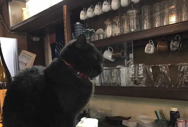 だんべえ茶寮の写真・動画_image_187229