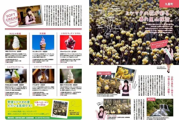 ミツマタの里の写真・動画_image_187282