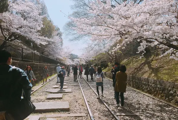 蹴上インクラインの写真・動画_image_187338