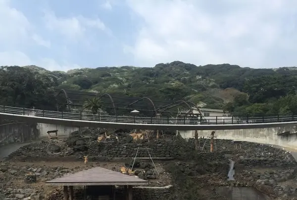 大島公園動物園の写真・動画_image_187381