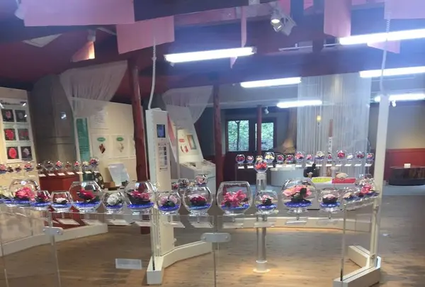 大島公園動物園の写真・動画_image_187386