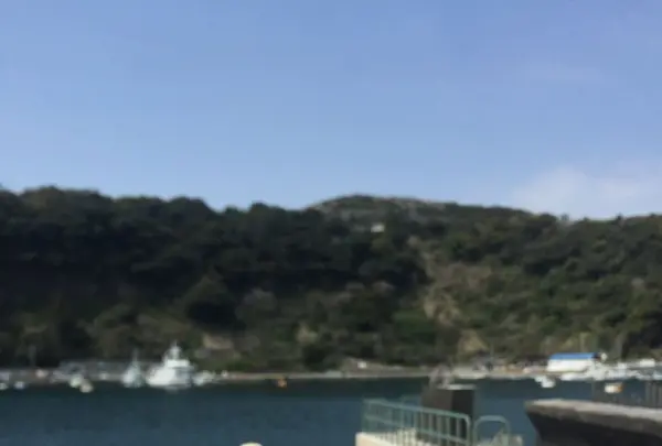 波浮港の写真・動画_image_187396