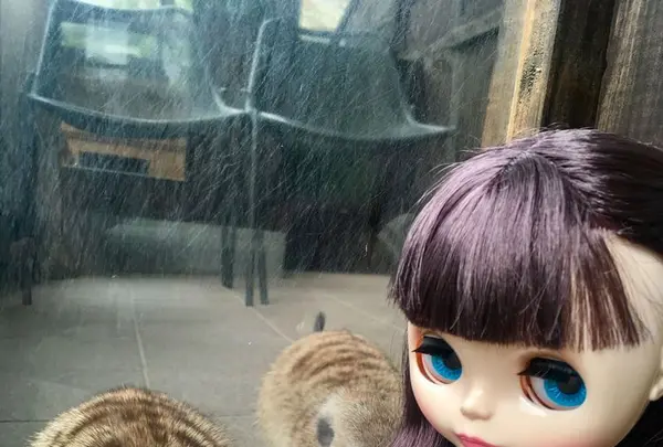 観音温泉の写真・動画_image_187414