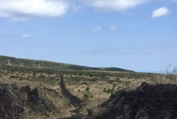 三原山の写真・動画_image_187420