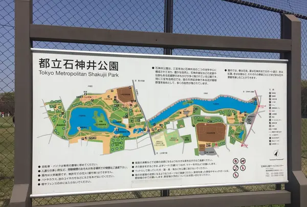 石神井公園の写真・動画_image_187443