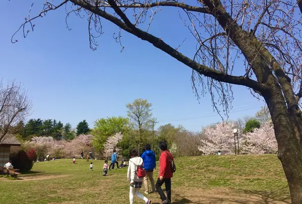 石神井公園の写真・動画_image_187446