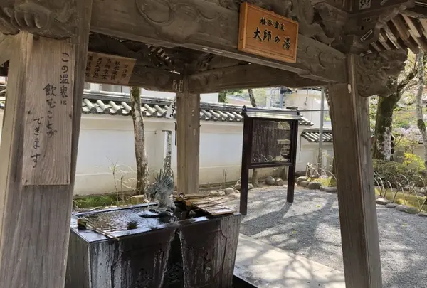 修善寺の写真・動画_image_187539