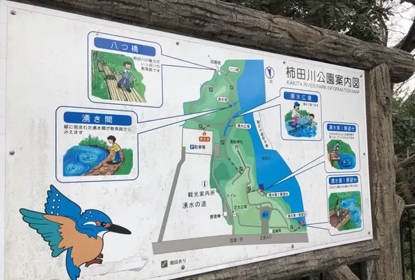 柿田川公園の写真・動画_image_187547
