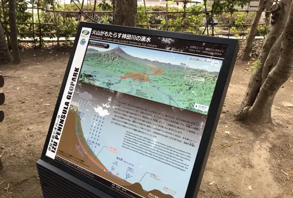 柿田川公園の写真・動画_image_187548