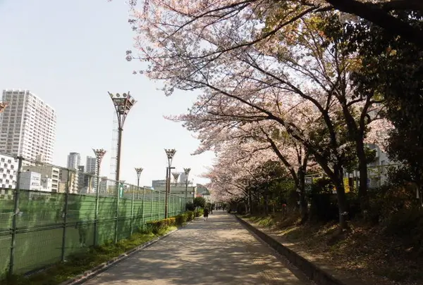 靱公園の写真・動画_image_187554