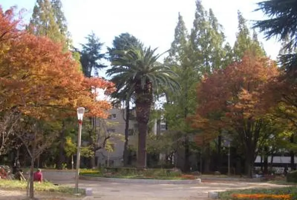 靱公園の写真・動画_image_187558