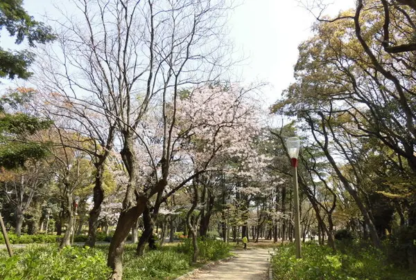 靱公園の写真・動画_image_187560