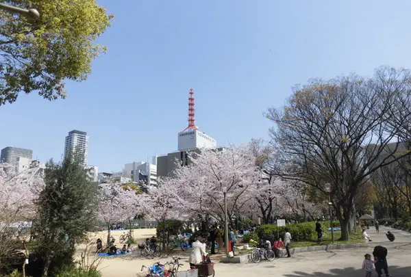 靱公園の写真・動画_image_187562