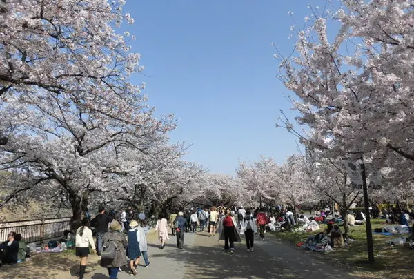 大阪城公園の写真・動画_image_187565