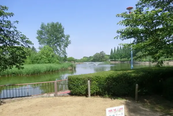 城北公園の写真・動画_image_187717