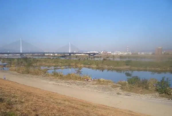 城北公園の写真・動画_image_187718