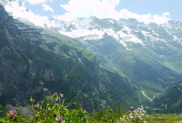 ミューレンの写真・動画_image_187721