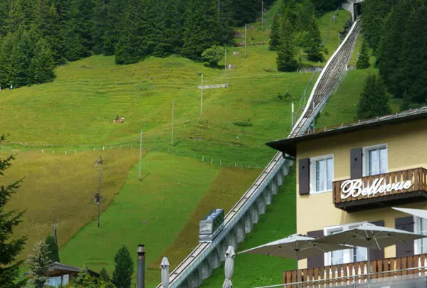 ミューレンの写真・動画_image_187722