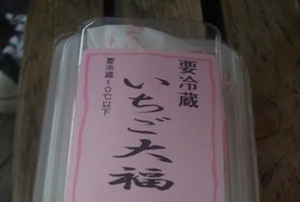 松福堂正一の写真・動画_image_187728