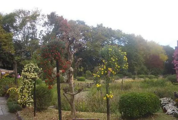 城北公園の写真・動画_image_187739