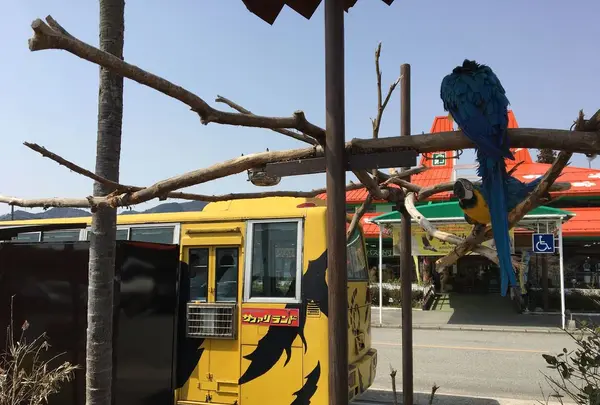 サファリランドの写真・動画_image_187749