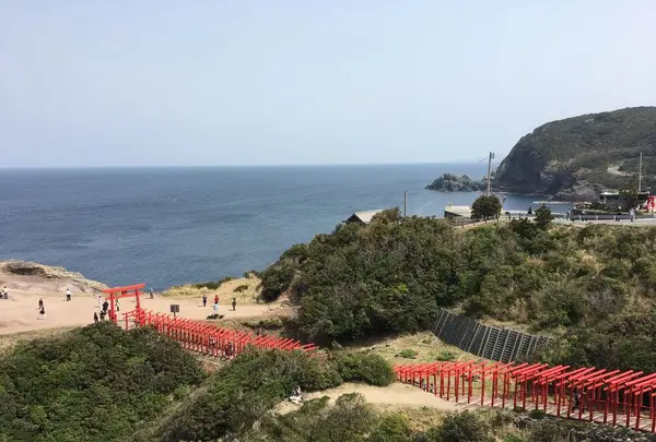 元乃隅神社の写真・動画_image_187751
