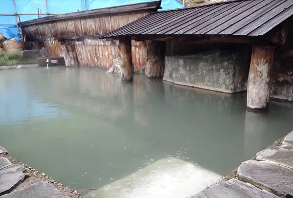 泥湯温泉 奥山旅館の写真・動画_image_18793