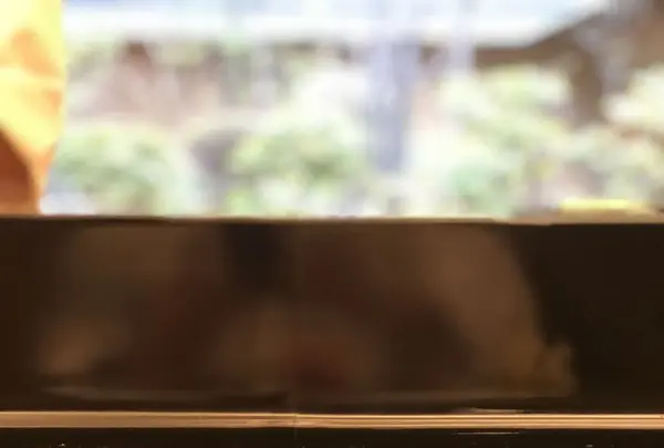 弁慶の写真・動画_image_188068