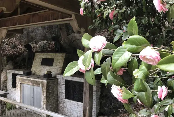 鎌北湖の写真・動画_image_188112