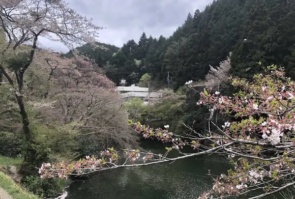 鎌北湖の写真・動画_image_188115