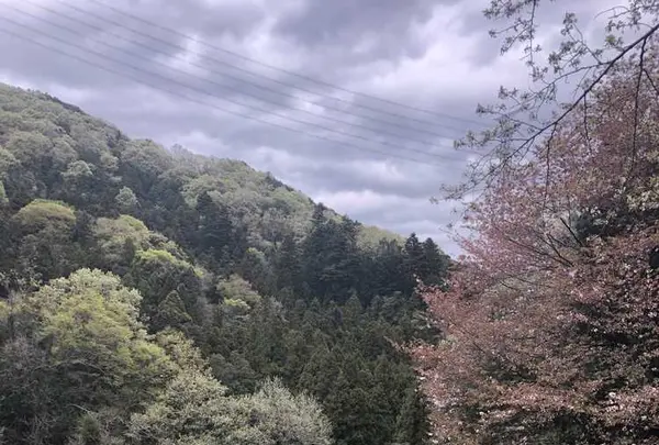 鎌北湖の写真・動画_image_188117