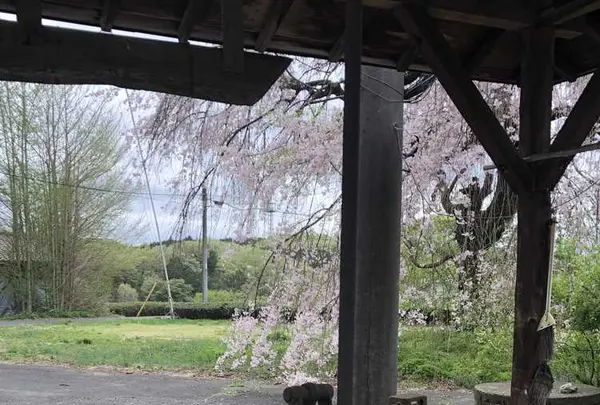武者小路実篤記念新しき村美術館の写真・動画_image_188134