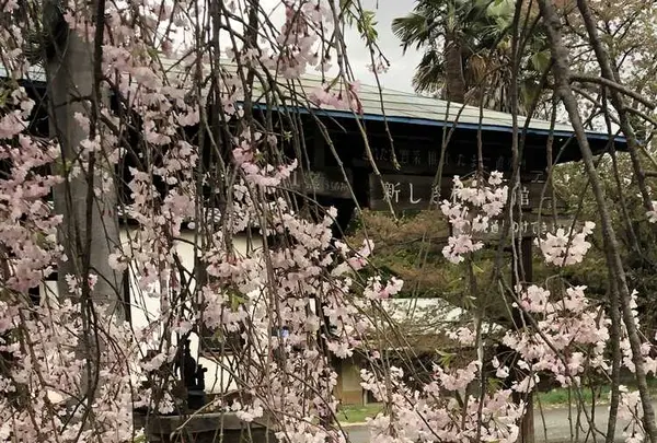 武者小路実篤記念新しき村美術館の写真・動画_image_188138